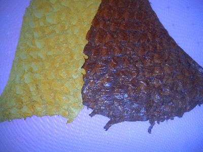 Grain Finish Leather 01